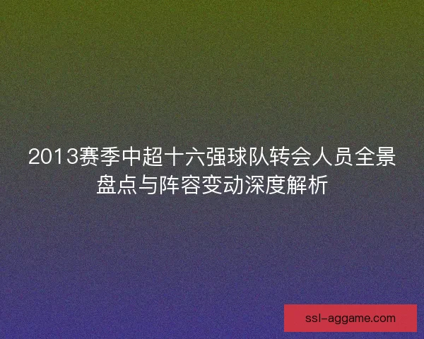 2013赛季中超十六强球队转会人员全景盘点与阵容变动深度解析