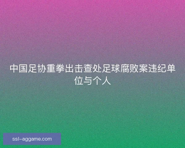 中国足协重拳出击查处足球腐败案违纪单位与个人